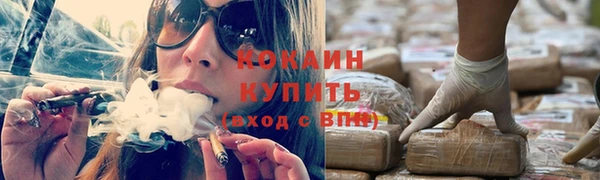 молекула духа Ростов