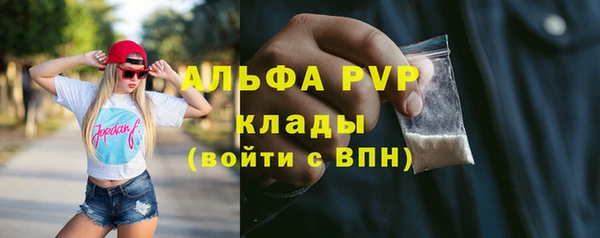 молекула духа Ростов
