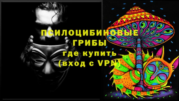 молекула духа Ростов