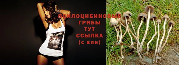 молекула духа Ростов