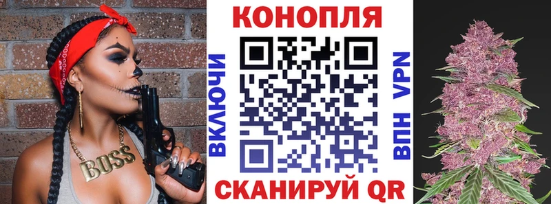 Шишки марихуана конопля  сколько стоит  Сергач 